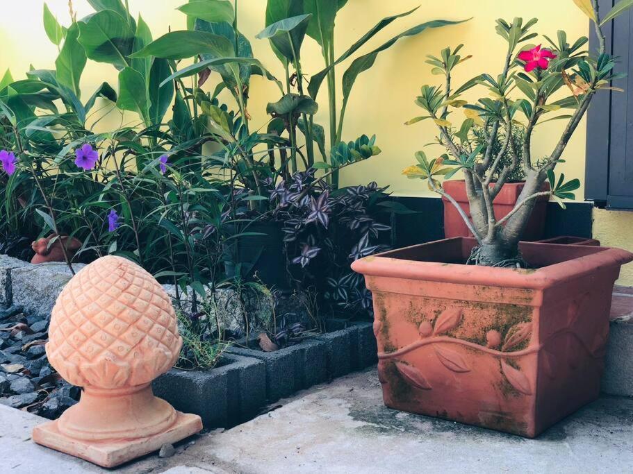 Fisherman Village Boutique Villas - Beachfront Ham Tan 外观 照片